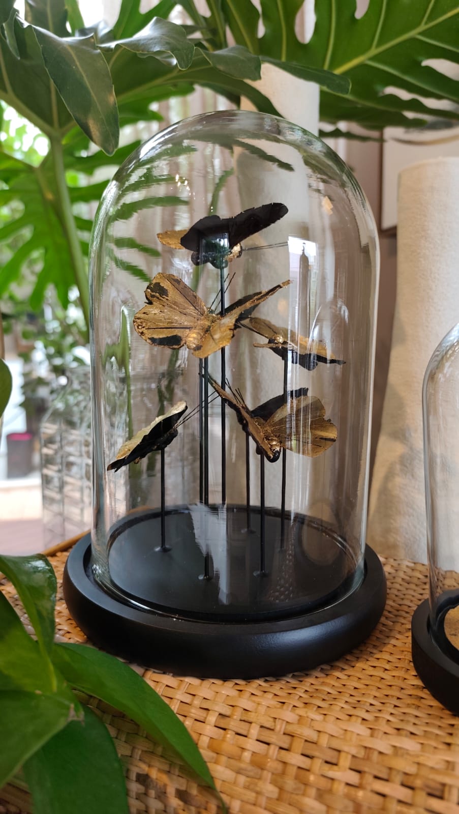 Cúpula Nuvem de Borboletas