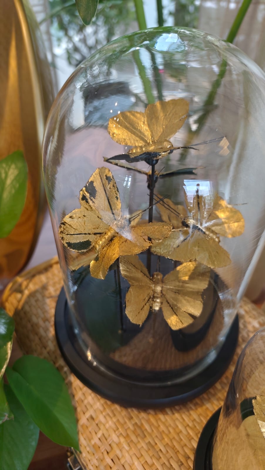 Cúpula Nuvem de Borboletas