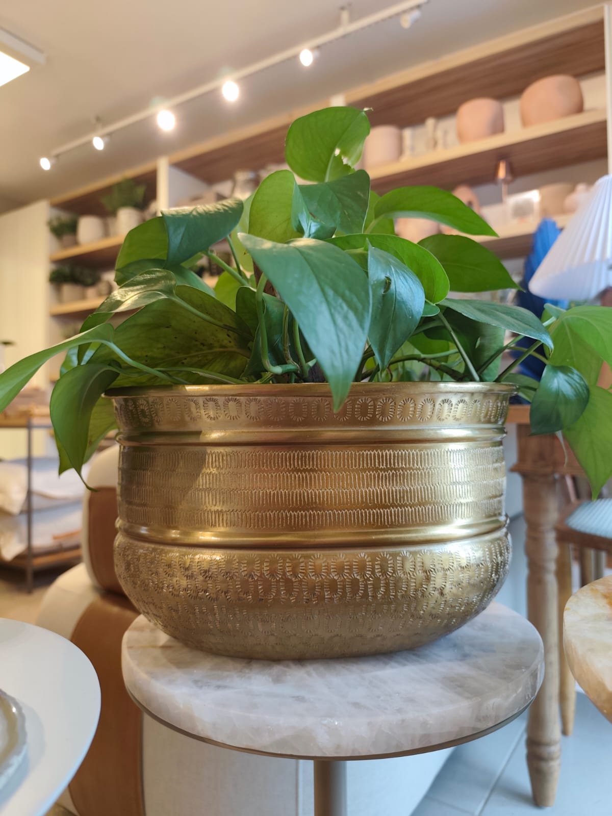 Cachepot em Metal Dourado