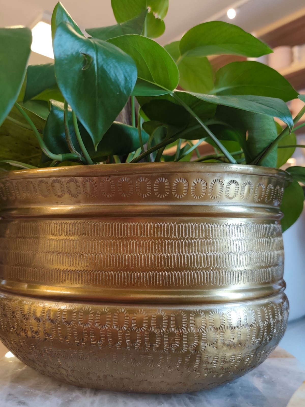 Cachepot em Metal Dourado