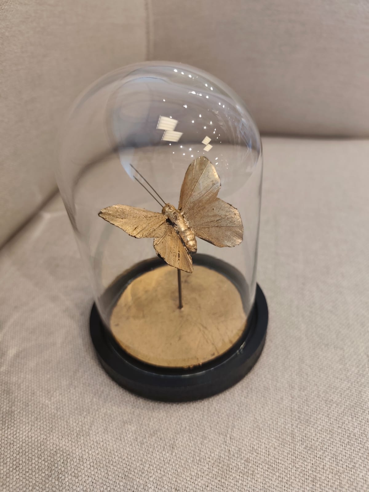 Cúpula Borboleta Solitária