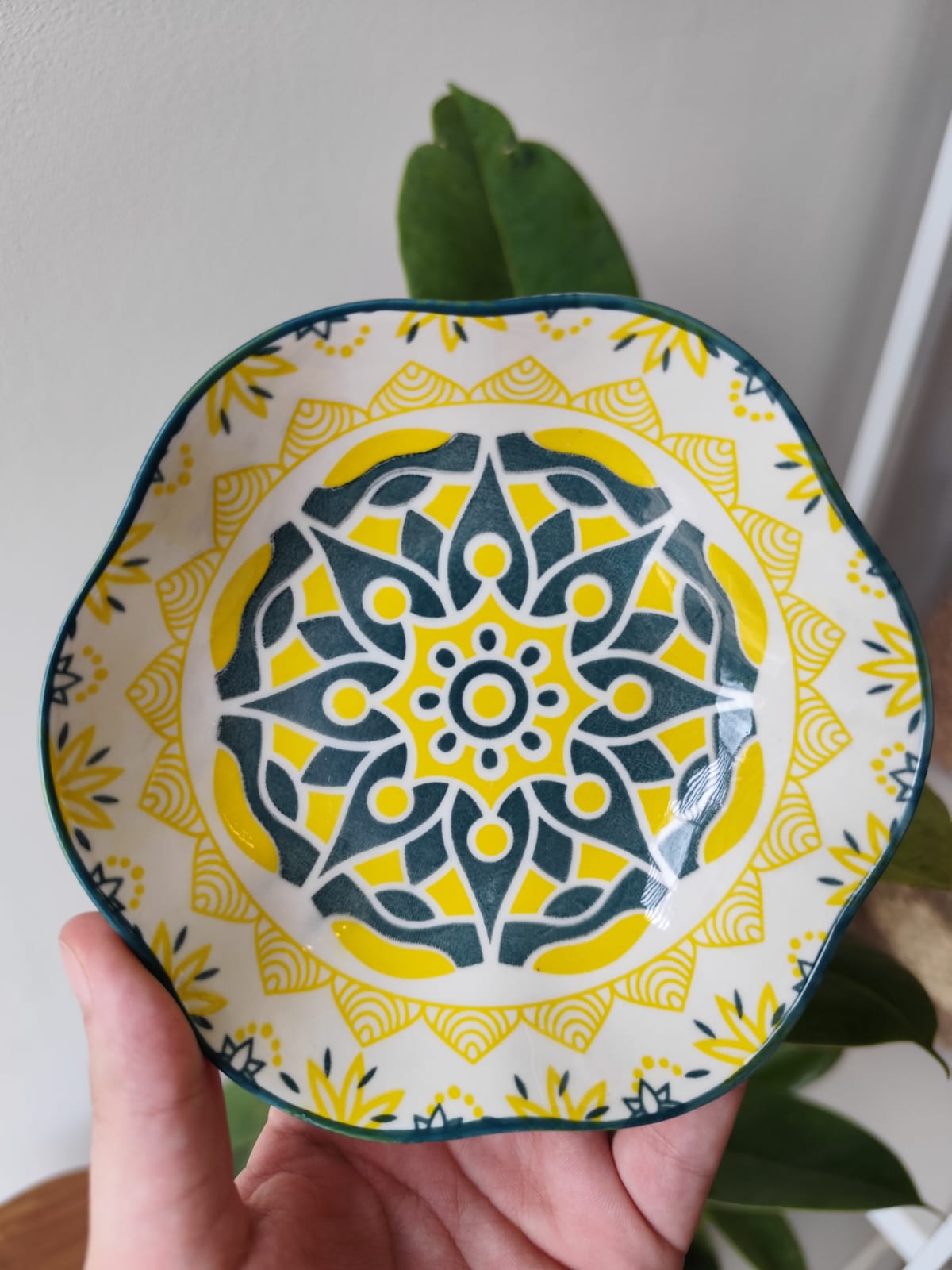 Bowl Redondo Organico Solarium