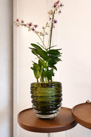 Vaso Espiral Verde