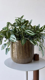 Cachepot damasco
