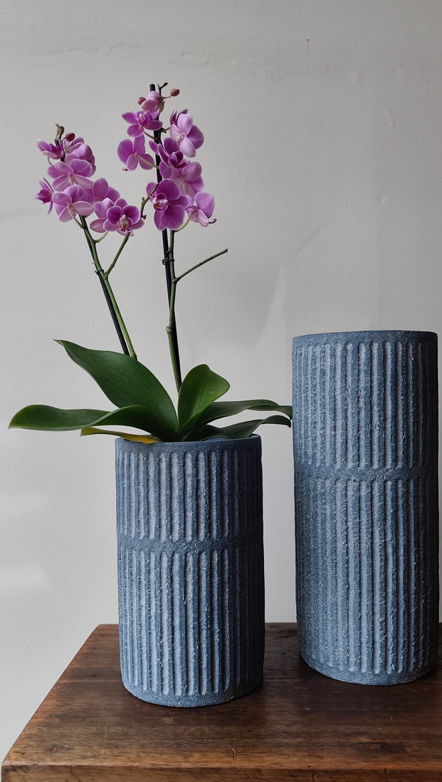 Vaso lines azul M