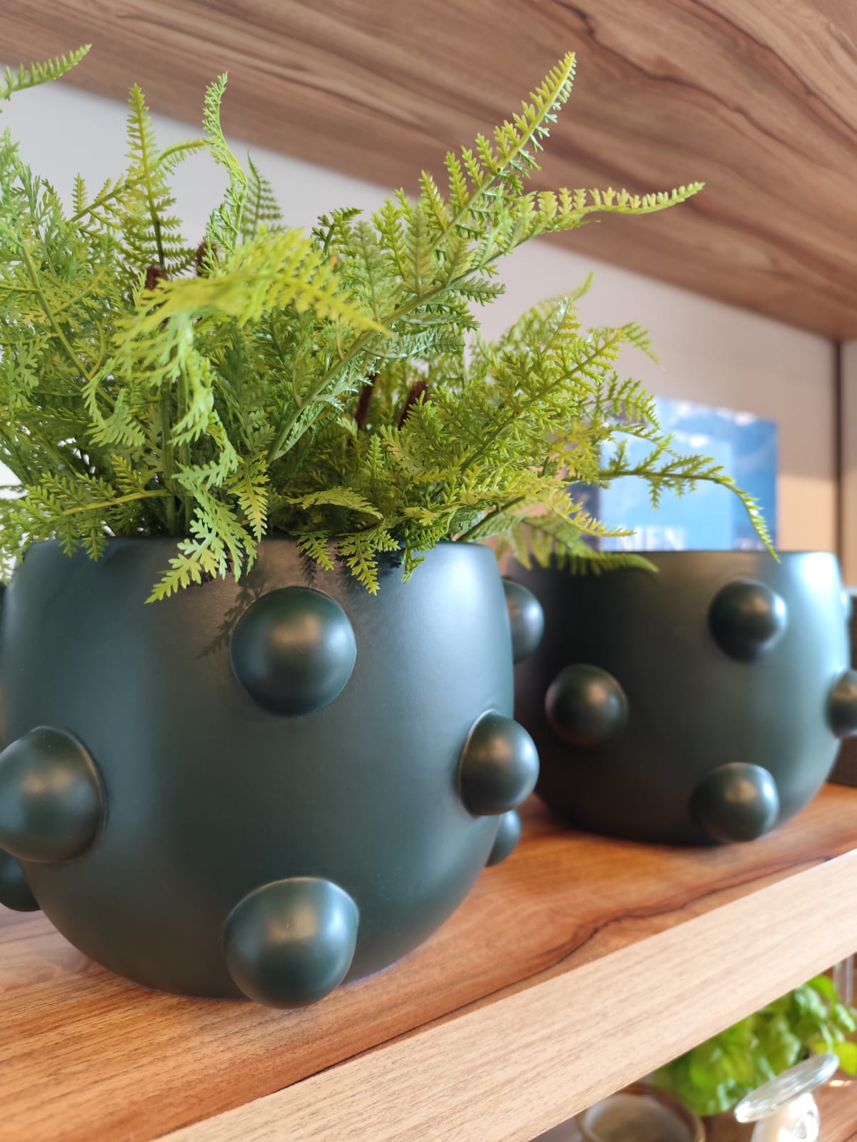 Cachepot Esferas Verde Musgo