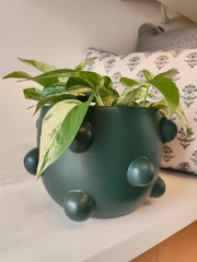 Cachepot Esferas Verde Musgo