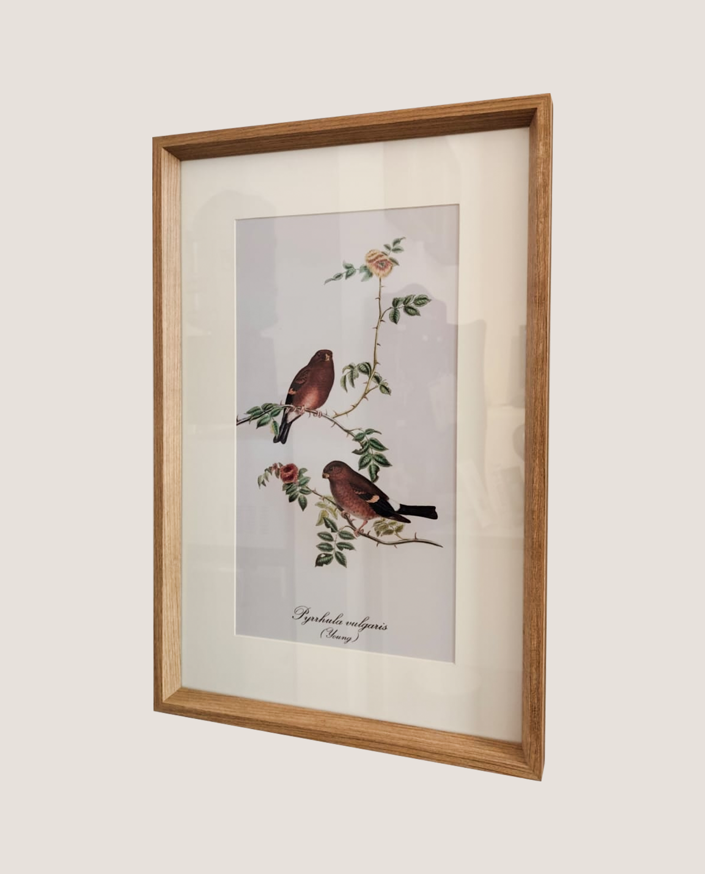 Quadro Bird