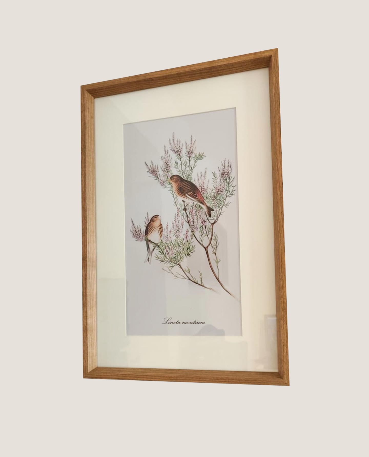 Quadro Bird