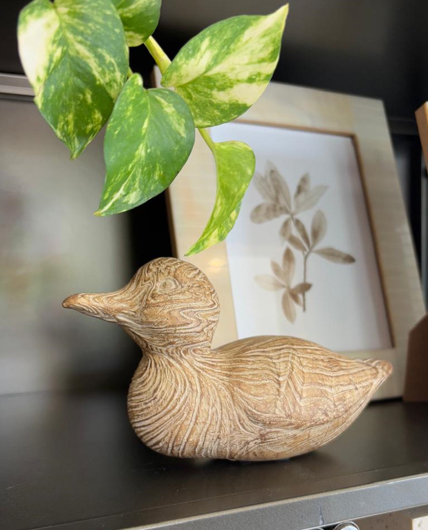 Escultura Pato