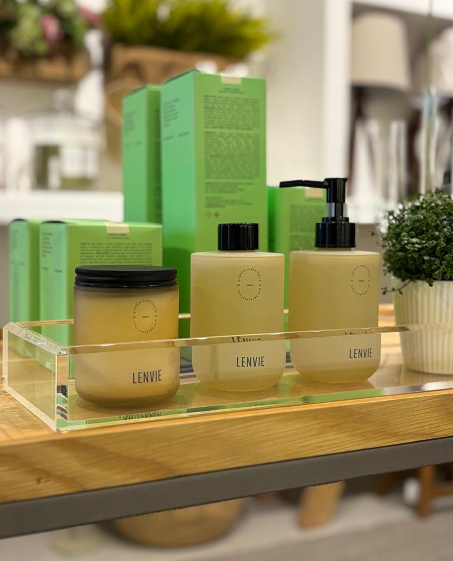 Difusor de Perfumes Bergamota & Framboesa