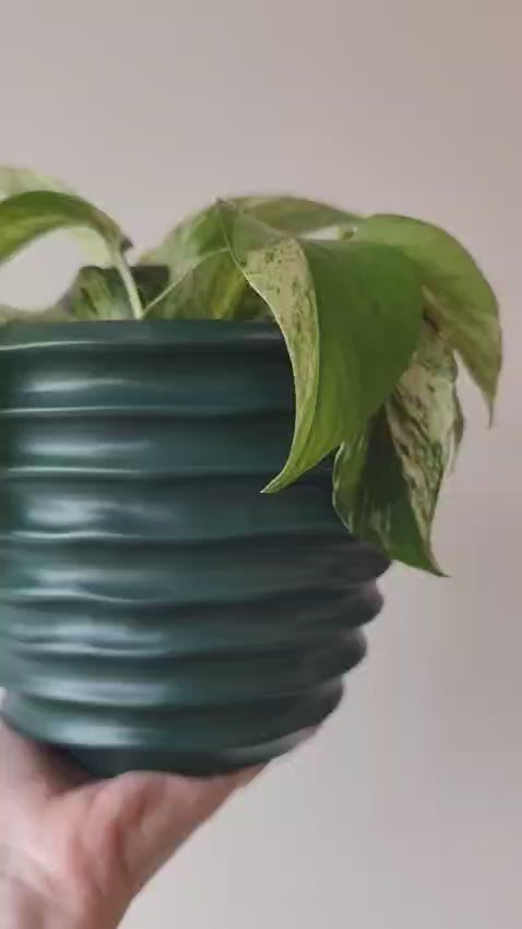 Carregar vídeo: Cachepot Canelado Ondulado Verde