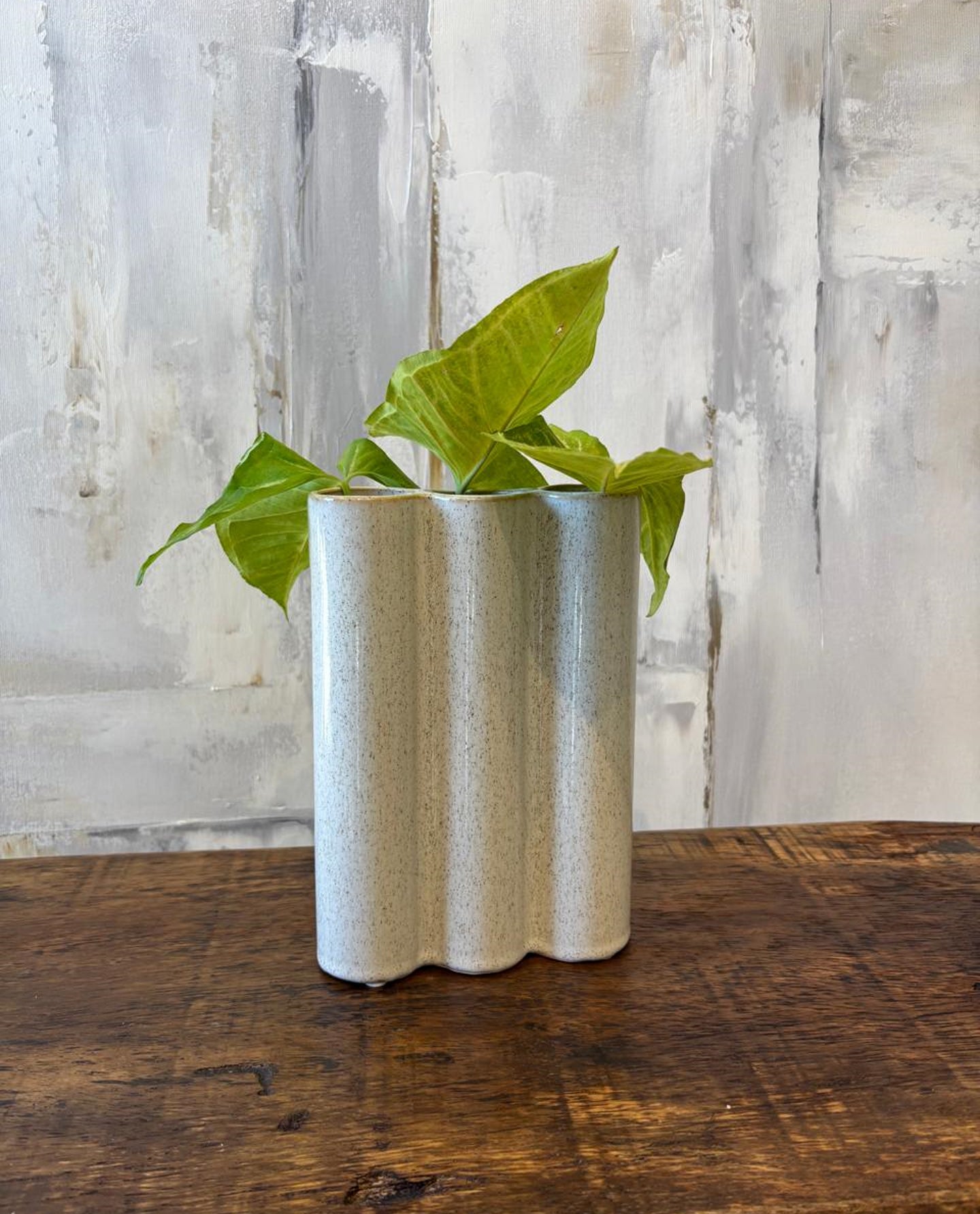 Vaso Trio